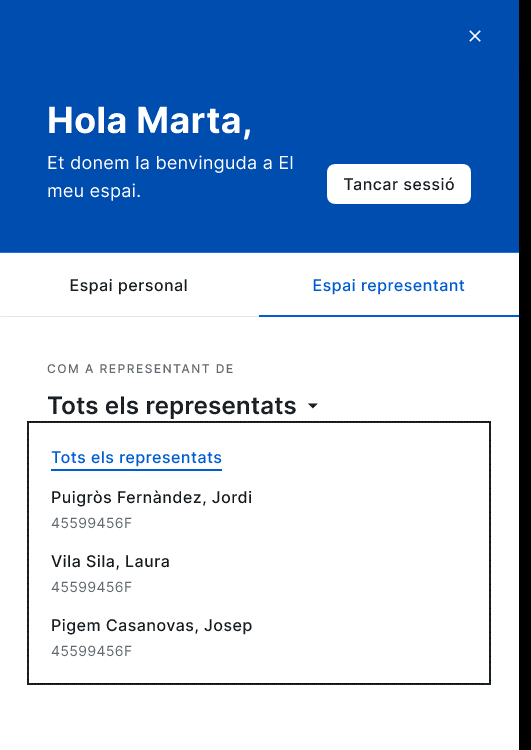 Pantalla Espai personal o representant.png