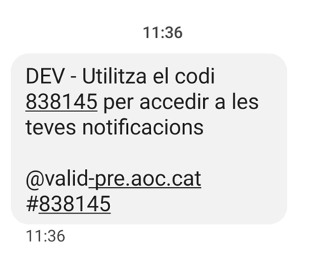 Codice SMS.png